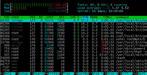 htop / © Maximilian Riess / Riess Group.