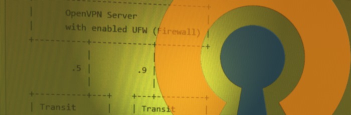 OpenVPN UFW Routing © Maximilian Riess / Riess Group.