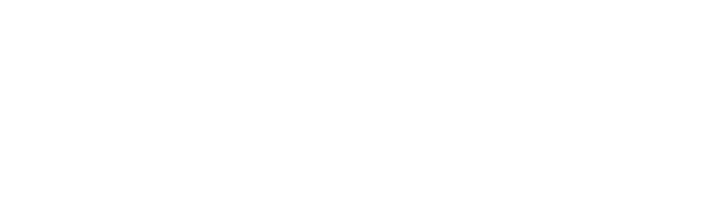 Riess Business Group GmbH